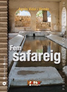 fem_safareig